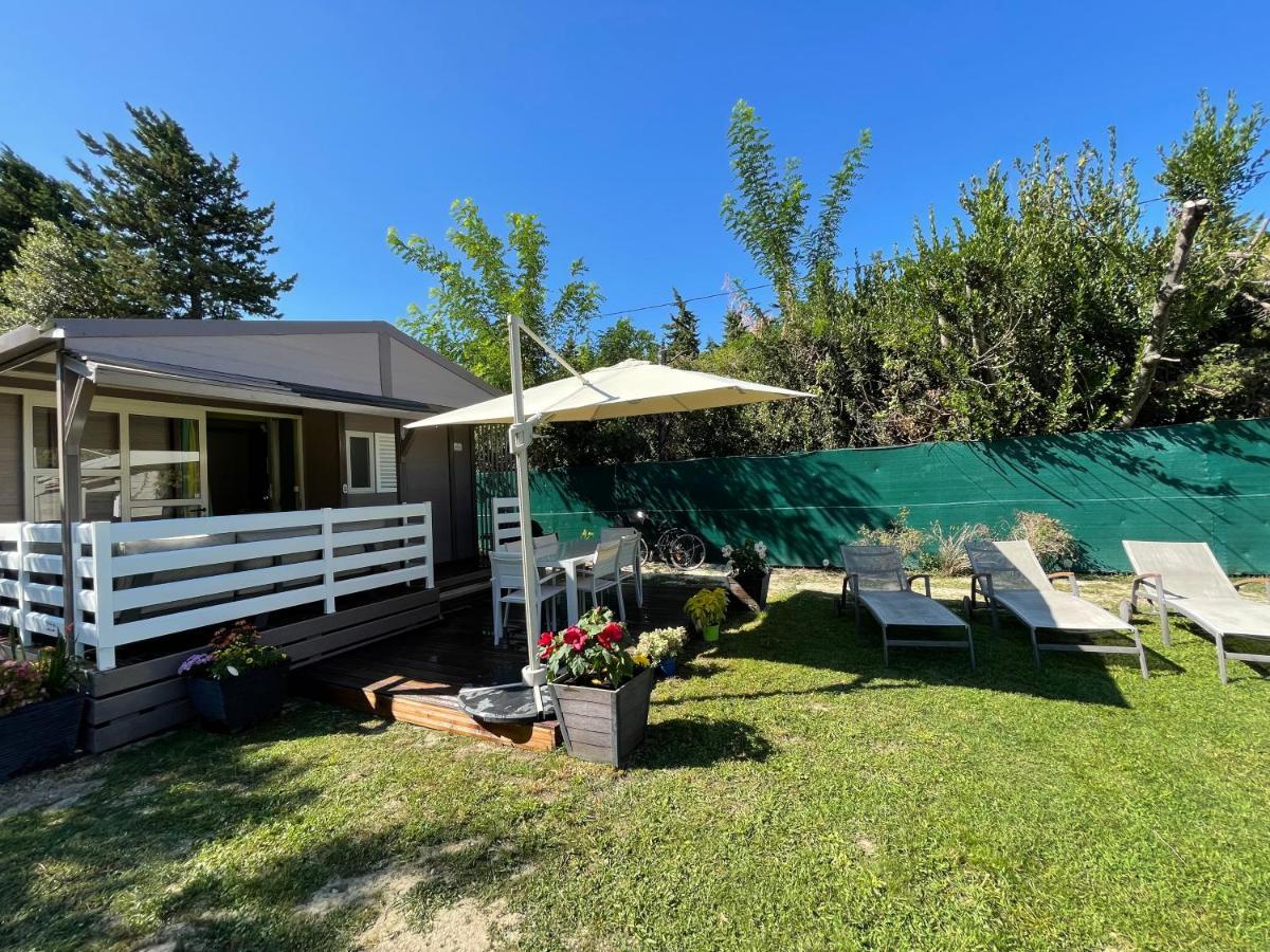 Avignon, Joli Chalet En Campagne Tres Proche De La Ville Kültér fotó